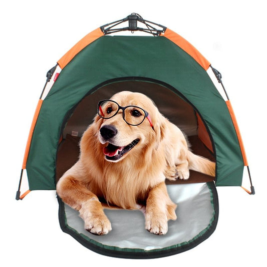 Tienda Perfecta para tu Mascota Aventurera