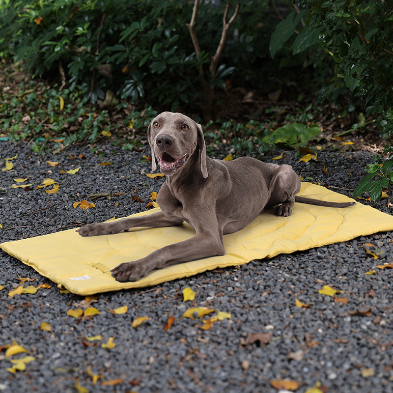 Colchón Canino SúperComfort