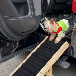 Rampa Mágica para Mascotas