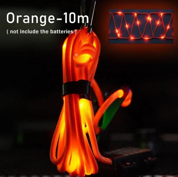 50093104169293
